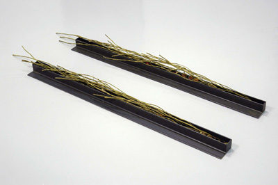 Giamportone_FLOOR_stems_sm