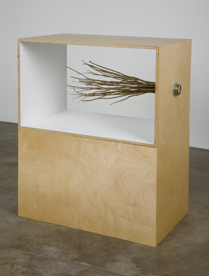 Giamportone_FLOOR_stems_box