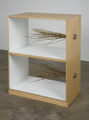 Giamportone_FLOOR_stems_box2