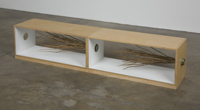 Giamportone_FLOOR_stems_box3
