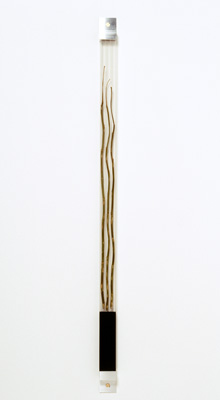 Giamportone_LEXAN-blk6