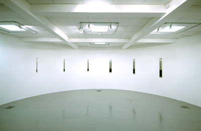 Giamportone_LEXAN-install