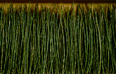 Giamportone_TABLES_stems_long-detail