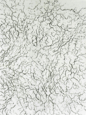 Giamportone_TALC_1