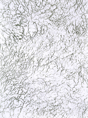 Giamportone_TALC_3